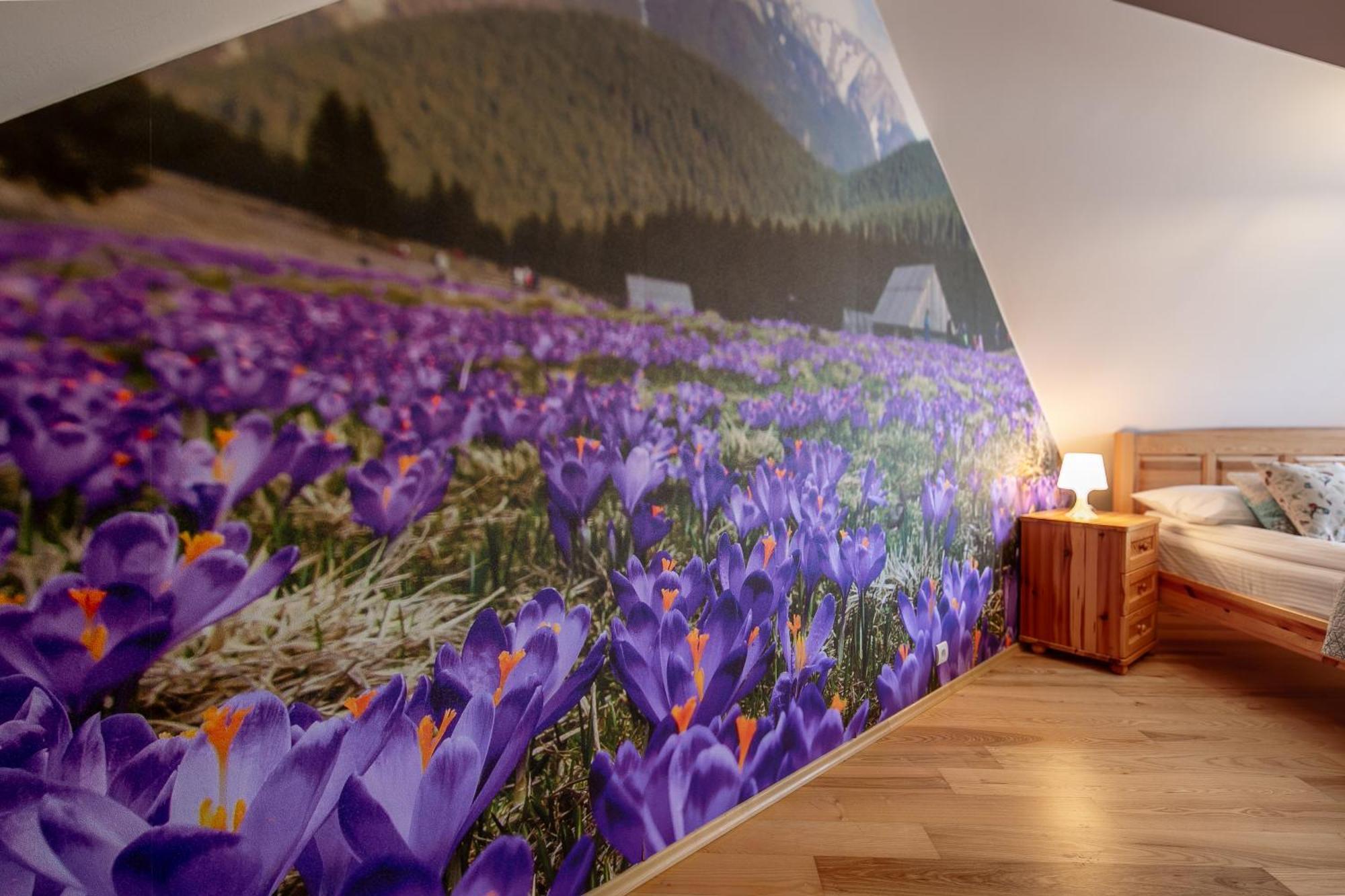 Apartmán Dwupoziomowy W Centrum Zakopanego
